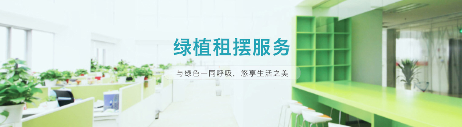 沈阳植物租赁
